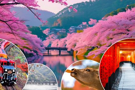 [One-day tour of Nara Arashiyama in Kyoto] Nara Park & Arashiyama Train & Fushimi Inari Taisha Thousand Torii Gates & Togetsukyo Bridge One-day tour | Depart from Osaka