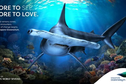 Tiket Singapore Oceanarium