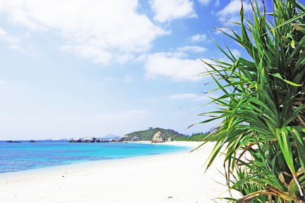 慶良間諸島渡嘉敷島阿芭蓮海灘海水浴一日遊（那霸出發/高速船或渡輪/含午餐）