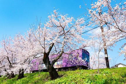 Kupon Arashiyama Gourmet + Tiket Percuma 1 Hari Randen