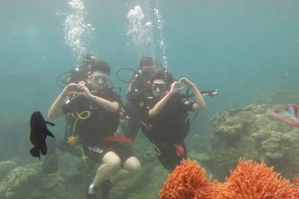 Experiencia de buceo en Coral Reef desde Nha Trang