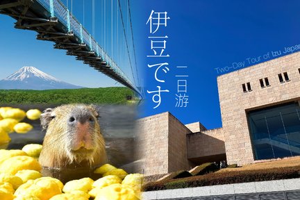 [Atami & Izu Onsen 2-Day Tour] MOA Museum & Kinomiya Shrine & Mishima Skywalk & Shuzenji Takitei Onsen & Omuroyama & Jogasaki Coast 2-Day Tour (Depart from Tokyo)