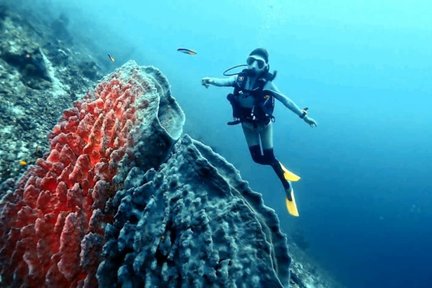 Experiencia de buceo recreativo en la isla de Semporna