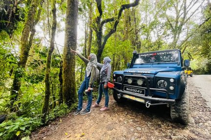 Lawatan Sehari ke Cameron Highlands