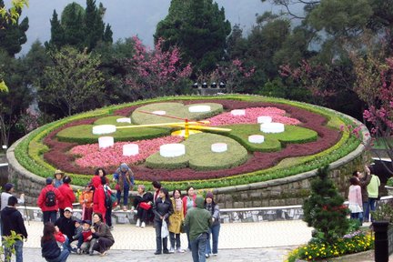 Beitou & Geothermisches Tal & Yangmingshan & Yeliu Tagestour