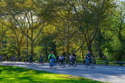 Complete Manhattan 5h Walking Tour & Cycle Central Park