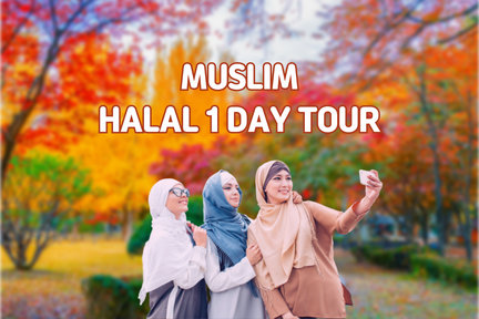 Tour Ngày Halal Thành phố Seoul và Vùng ngoại ô Thân thiện với Người Hồi giáo