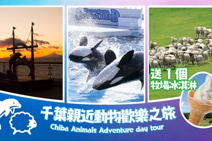 千叶母亲牧场 & 鸭川海洋世界 & 东京湾夕阳一日游