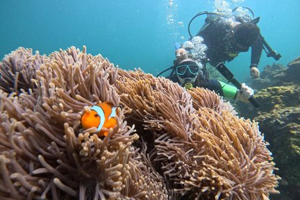 Buceo de medio día en la isla privada de Maithon: 2 inmersiones solo para grupos pequeños