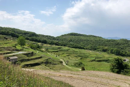 Setouchi Triennale 2025 Teshima/Inujima Course