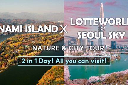 Nami Island and Lotte world or Seoul Sky Day Tour