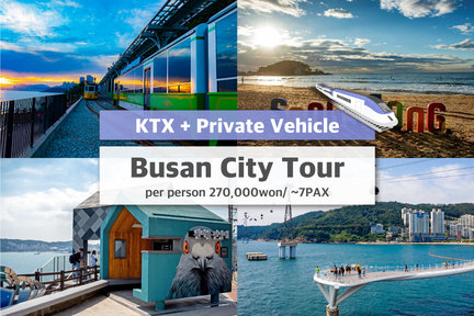 KTX One Day Private Busan City Tour From Seoul