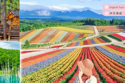 Hokkaido | Asahiyama Zoo & Christmas Tree & Shirahige Falls or Four Seasons & Fairy Terrace or Blue Pond Day Tour | Depart from Sapporo