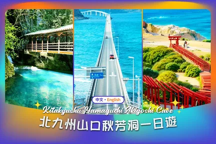 和布刈展望台 & 秋芳洞 & 元乃隅神社 & 角岛大桥一日游 (福冈出发)