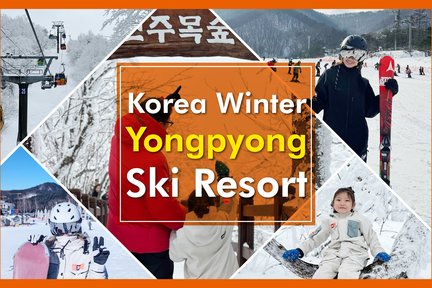 Yongpyong One Day Ski Tour dari Seoul