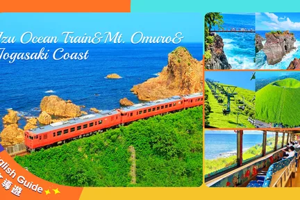 【伊东观海之旅4~9人小团】大室山·伊豆观海列车(含车费), 城崎海岸, 门脇吊桥一日游 (新宿出发)