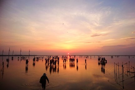 Taichung: recorrido de un día por las atracciones clásicas y los humedales de Gaomei desde Taipéi