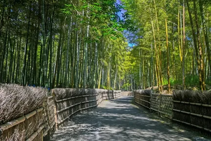 京都西部徒步之旅:岚山、金阁寺和工桥