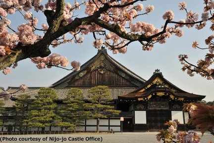 Kyoto Nijo Castle & Nishiki Market One Day Tour with Tea Ceremony