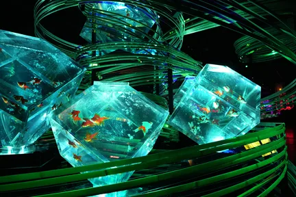 东京银座艺术水族馆门票