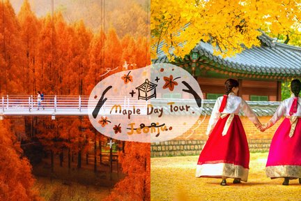 Jeonju Hanok Village + Hanbok Experience/Jangtaesan Golden Metasequoia Forest Tagestour (Abfahrt von Seoul/Busan)