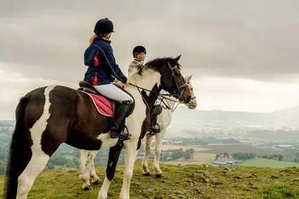 Wicklow, Glendalough and Powerscourt day tour from Dublin