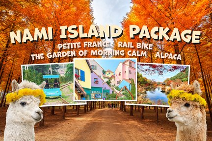 Nami Island / Petite France / Garten der Morgenstille / Railbike / Alpakawelt / Legoland