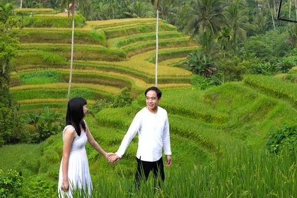 Lawatan ke Air Terjun Ubud, Rice Terrace dan Kuil Air (All Inclusive)