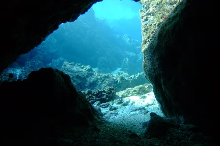 沉浸式探秘冲绳青之洞窟:浮潜 / 体验潜水随心选&附赠照片
