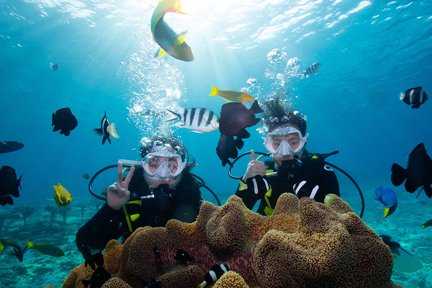 Pengalaman Snorkeling & Menyelam di Onna Blue Cave, Okinawa