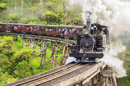 Puffing Billy & Phillip Island Private Car Day Tour