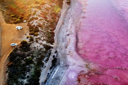 Visite en buggy 4x4 du lac Pink à Geraldton