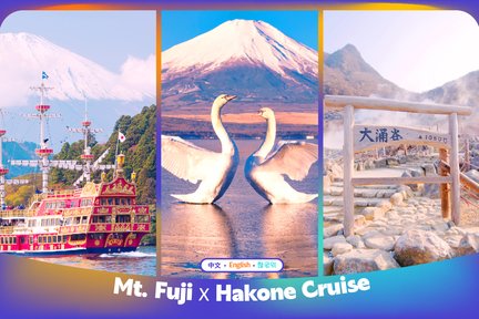 [Mt. Fuji & Hakone] Lake Ashi Sea Torii & Hakone Shrine & Hakone Pirate Ship & Hakone Ropeway & Owakudani & Yamanakako & Oshino Hakkai Day Tour | Free Cable Car Ticket | Departs from Tokyo