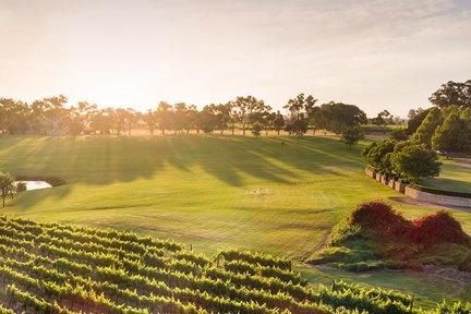 Swan Valley Day Tour with Chinese Speaking Guide