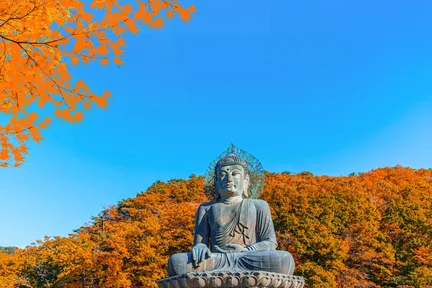 雪岳山国立公园赏枫一日游（首尔出发）