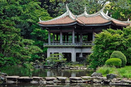 Tokyo City, Shinjuku & Shibuya One Day Walking Tour
