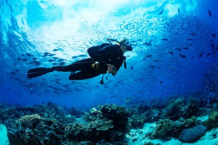 Pulau Kucing di Phuket: Selam Skuba, Bersantai dan Snorkeling Separuh Hari