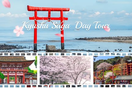 [Sakura Limited] Kyushu Saga Cherry Blossom Viewing Spots Day Tour｜Dazaifu & Yutoku Inari Shrine & Oo Shrine & Mifuneyama Rakuen & Asahioka Park (Depart from Fukuoka)