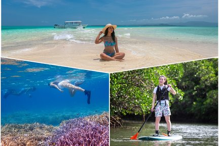 Ishigaki Island: Landing on the "Phantom Island" & Snorkeling & Mangrove SUP or Canoe Experience (Okinawa)