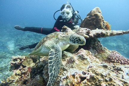 Green Island Diving in Taitung by Fire Islands