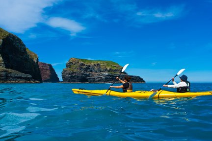 Kayaking and Safari Tour in Akaroa