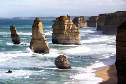 Great Ocean Road and 12 Apostles One Day Tour