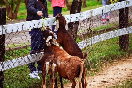 Tiket Yuan Sen Garden di Taitung