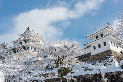 Shirakawago & Gujo Hachiman & Hida Takayama One Day Tour from Nagoya