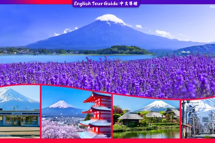 【富士山人气打卡景点】富士山下网红公园&日川时计店&罗森便利店&忍野八海&大石公园一日游 (东京站或新宿站出发)