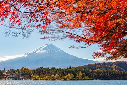 富士山と双湖の美しい景色を巡る1日ツアー（東京発）