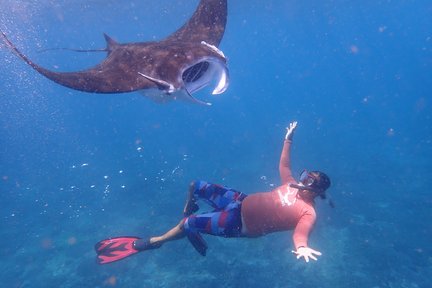 Pengalaman Snorkeling di Nusa Penida dari Lembongan (3 Spot)