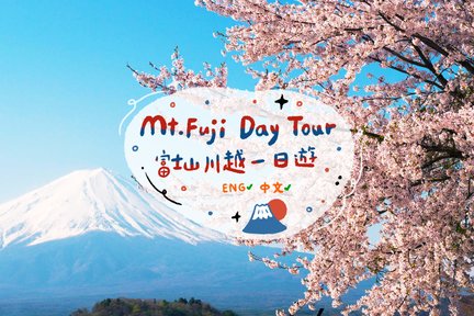 Mount Fuji Oishi Park x Oshino Hakkai x Koedo Kawagoe one-day tour (departing from Shinjuku)