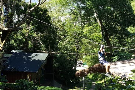 Hualien: Zipline-Erlebnis im Wild Monkey Adventure Jungle