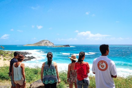 Oahu Circle Island Tour with Malasadas and Garlic Shrimp